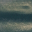 Picture of EXALTED EXPERIENCES 1