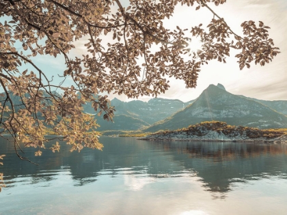 Picture of NORWEGIAN FJORD, LOFOTEN, NORWAY