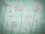 Picture of COW PARSLEY FLOWERS