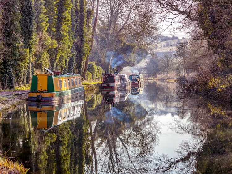 Picture of CANAL WITH TREES, KINTBURY, UK