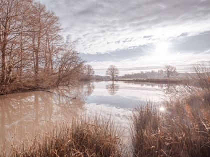 Picture of POND REFLECTION