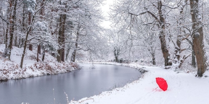 Picture of UMBRELLA BY A SNOWY CANAL