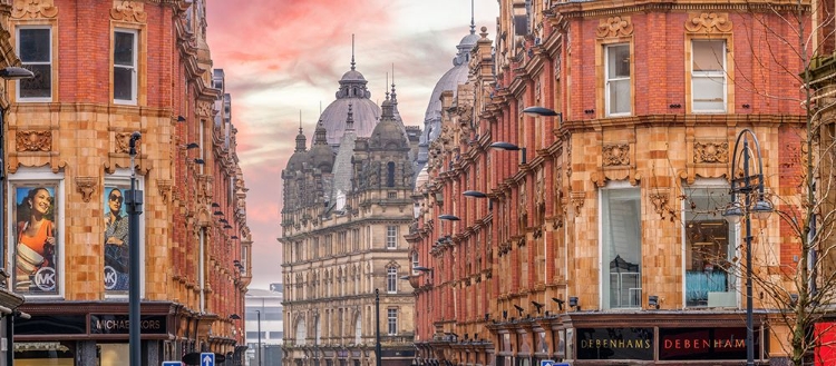 Picture of LEEDS DOME ARCHITECTURE