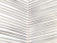 Picture of PALM LEAF CLOSE-UP