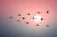 Picture of FLAMINGO SUNSET