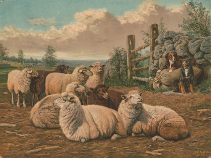 Picture of THE FAITHFUL SHEPHERDS