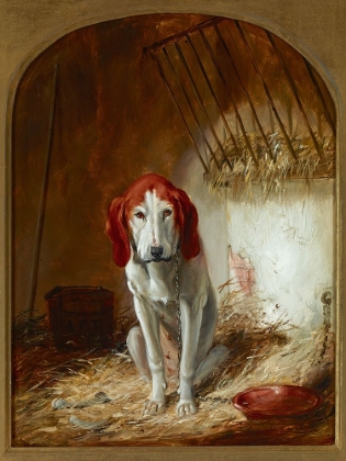 Picture of THE HOUND