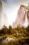 Picture of YOSEMITE VALLEY