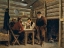 Picture of MINERS PLAYING CARDS, 1882