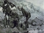 Picture of MINERS PROSPECTING