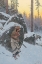 Picture of THE INDIAN BEAR HUNTER
