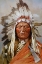 Picture of SITTING BULL