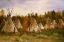 Picture of THE SUMMER CAMP