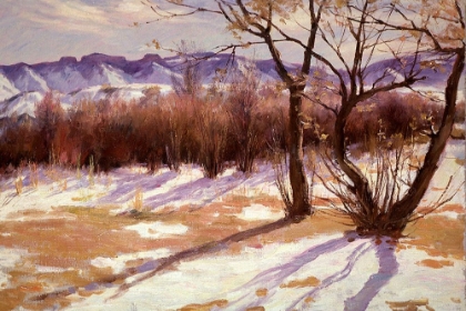 Picture of WINTER AFTERNOON