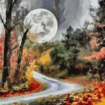 Picture of MOON OVER THE ROAD