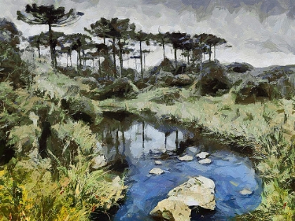 Picture of RIVER IN TROPICAL NATURE