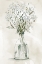 Picture of FARMHOUSE WHITES II