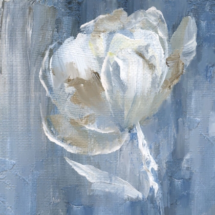 Picture of WHITE ON BLUE II