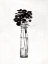 Picture of BLACK AND WHITE SOPHISTICATED FLOWER I