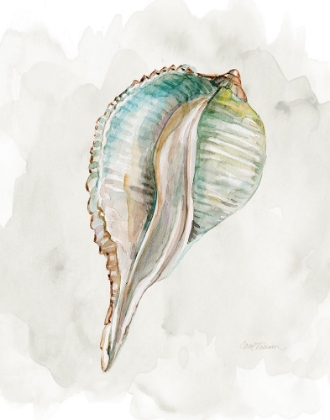 Picture of PASTEL SHELL I
