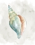 Picture of PASTEL SHELL II
