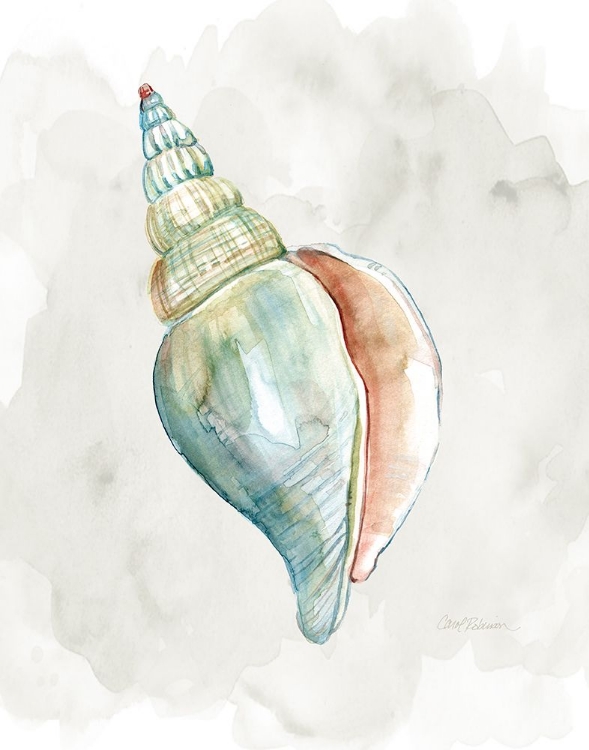 Picture of PASTEL SHELL II