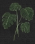 Picture of SIMPLE TROPICS I