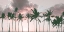 Picture of ISLAND PALMS