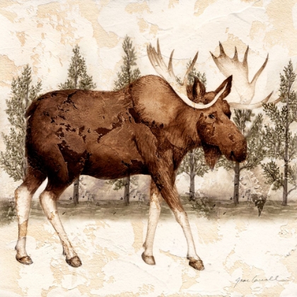 Picture of LODGE MOOSE
