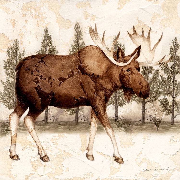 Picture of LODGE MOOSE