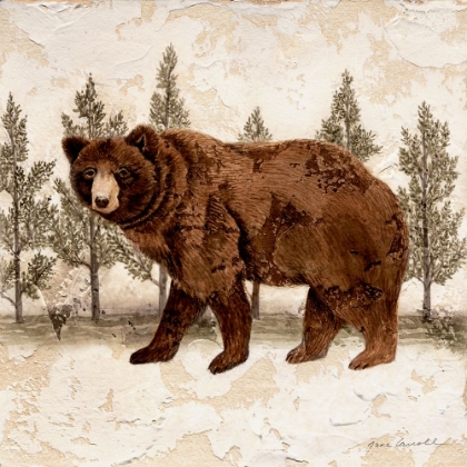 Picture of LODGE BEAR