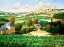 Picture of VINEYARDS OF PROVENCE