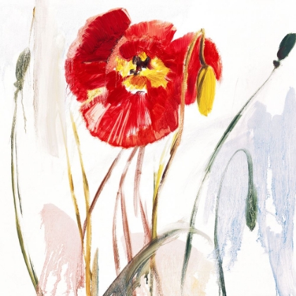 Picture of CRIMSON POPPY 3