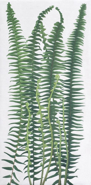Picture of GREEN THINGS 1