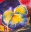 Picture of BLOEM 2