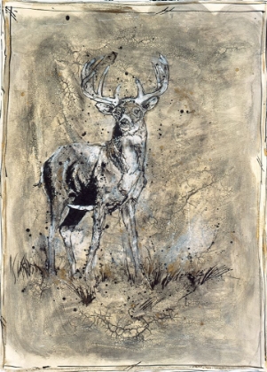 Picture of STAG