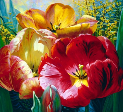 Picture of TULIP TRIO