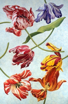 Picture of FLORAL TULIPS III