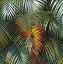 Picture of TROPICAL SUITE VI