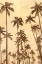 Picture of PALM VISTA VI