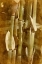 Picture of BAMBOO