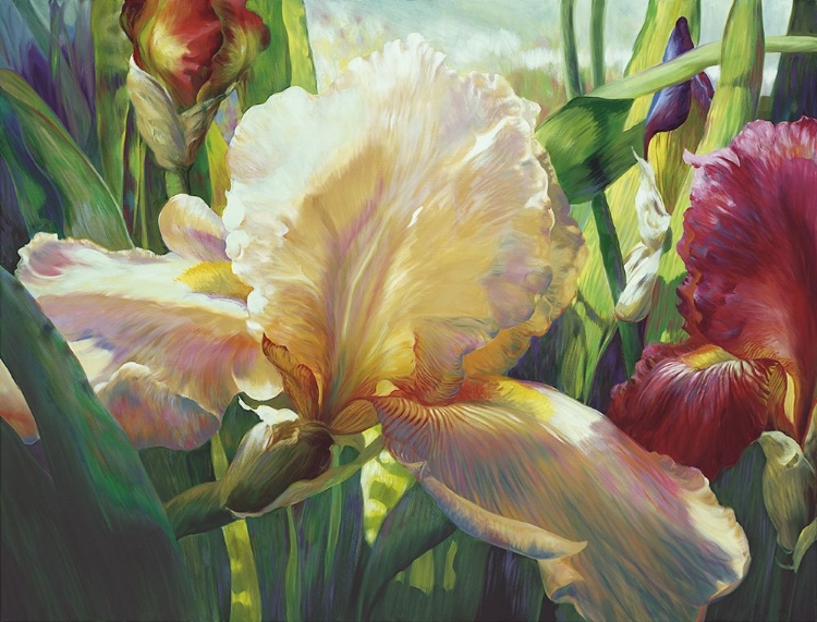 Picture of CORRINES IRIS