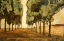 Picture of TUSCANY