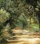 Picture of DOWN THE PATH