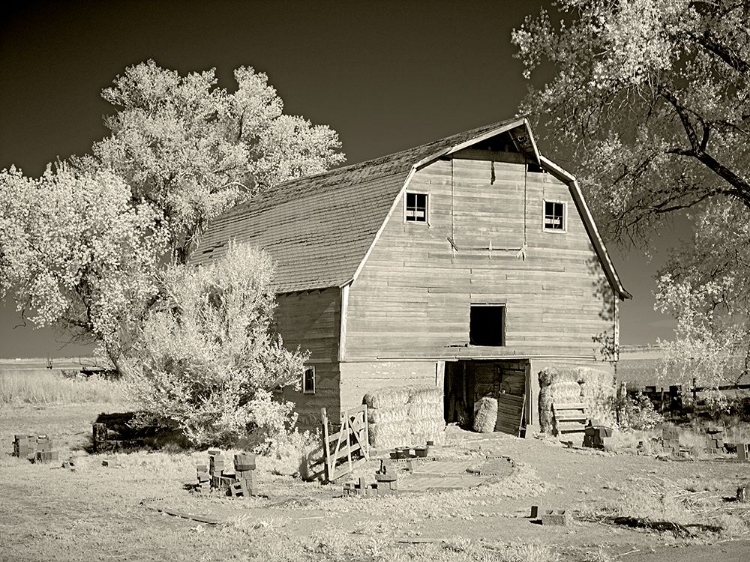 Picture of BARN 1