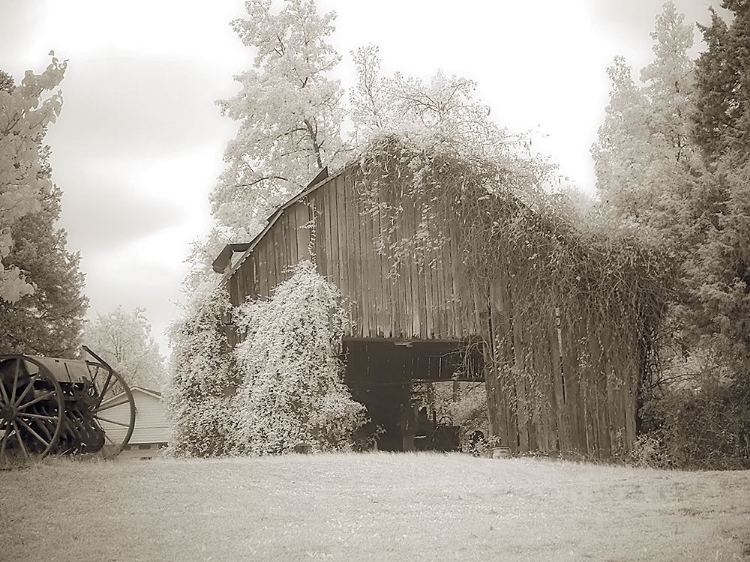 Picture of BARN 2