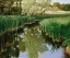 Picture of CATTAIL CREEK