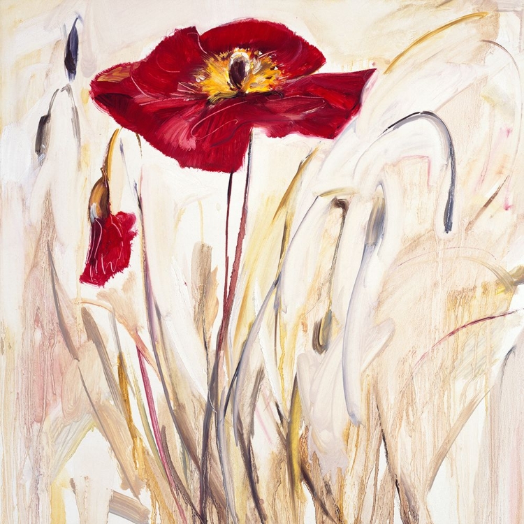 Picture of WILD POPPY III