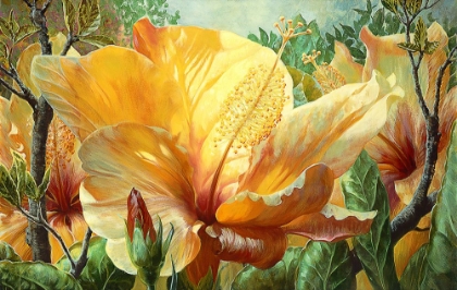 Picture of GOLDEN HIBISCUS