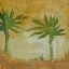Picture of PALM FRESCO 4